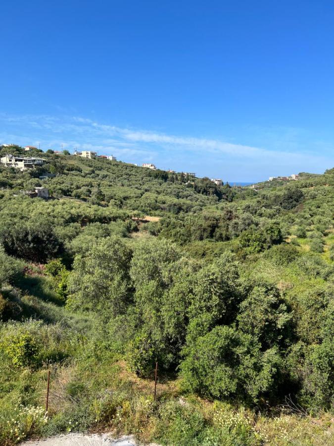 Eugene Apartment Χανιά Εξωτερικό φωτογραφία
