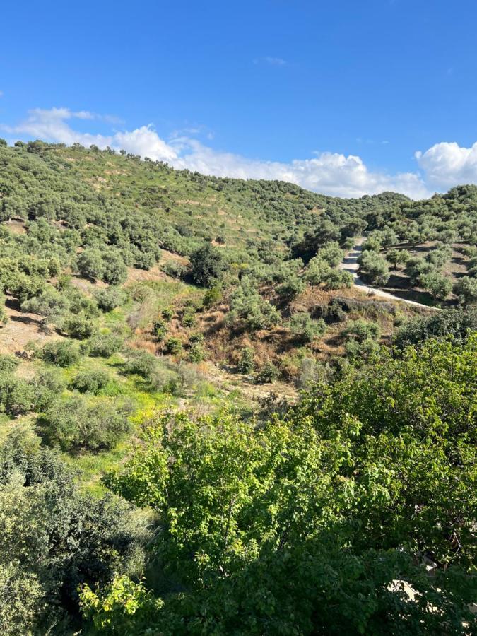 Eugene Apartment Χανιά Εξωτερικό φωτογραφία